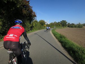 RTF Almabtrieb 056
